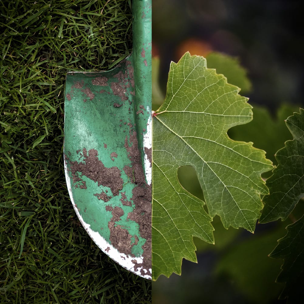 Oregon Wine Country - “Wine Plus” social campaign - split shovel