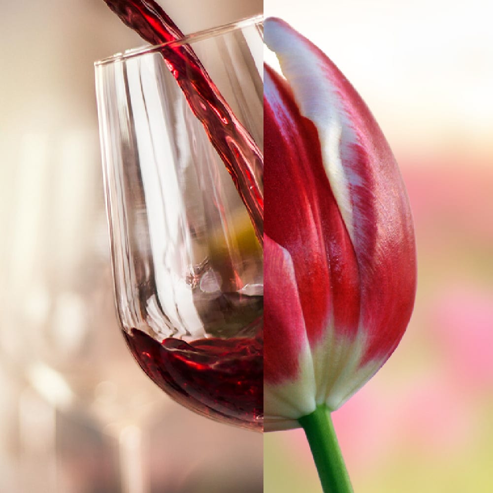 Oregon Wine Country - “Wine Plus” social campaign - split tulip